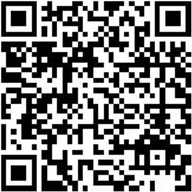 Schraubzwinge Shrbzwinge-G-400X120Mm