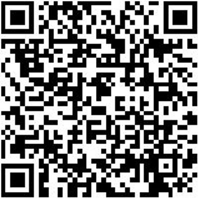 Schreinerhammer Shreinham-Din5109-320Gr