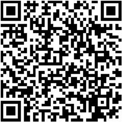 Schreinerhammer Shreinham-Din5109-400G