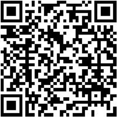 Schubkarre Ersatzteile Shubkarre-Gestell-Standard-(Zn)