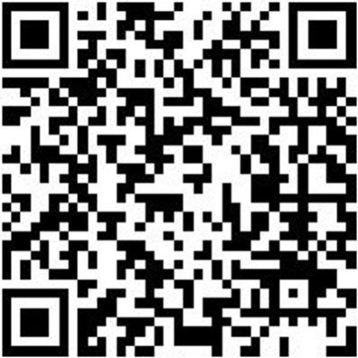 Schutzbrille Shtzbril-Electra-Grau