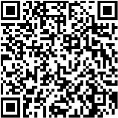 Schutzhelm Zubehör Kinnrmn-(F. Shtzhelm-Sh2000)-4Pkt