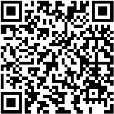 Schutzhelm Zubehör Winthaub-(Shtzhelm-Sh200)-(Hi-Vis)-Gelb