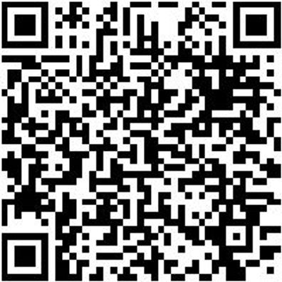 Schutzplane Shtzplane-Cont-Seil-Gruen-3,1X8M