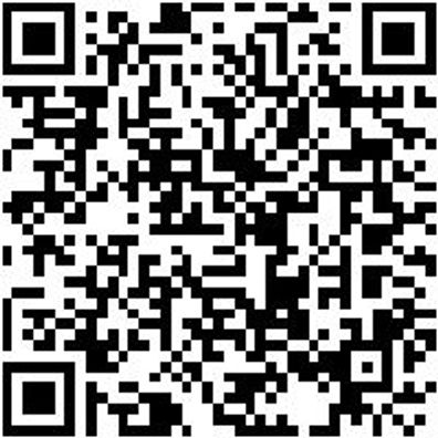 Seitenschneider Elektronik Seitshnd-El-Rd-Fac-Drahtkle