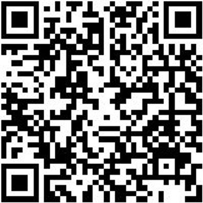 Seitenschneider Elektronik Seitshnd-El-Sp-Klfac