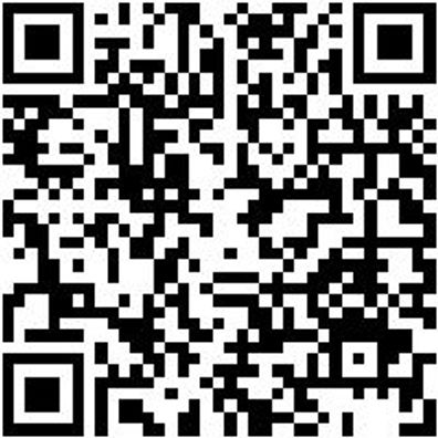 Seitenschneider Elektronik Seitshnd-El-Sp-O. Fac