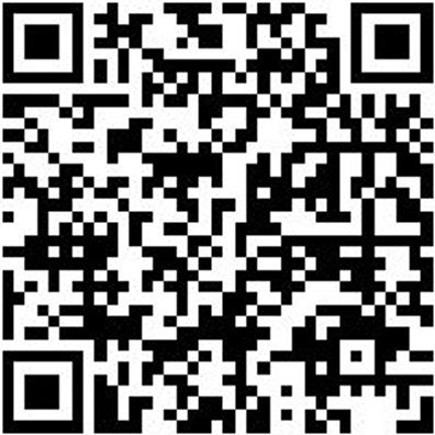 Seitenschneider Elektronik Seitshnd-Superknips-Gd-Drahtklemme