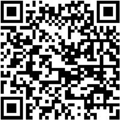 Seitenschneider Elektronik Seitshnd-Superknips-Gd-O. Drahthalter