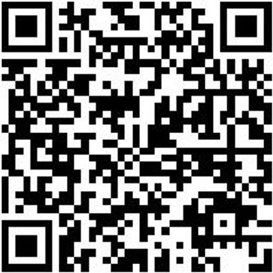 Seitenschneider Elektronik Seitshnd-Superknips-Gd-Drahthalter