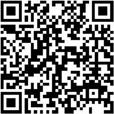 Sicherheitshalbschuh S1P Halbschuh Stretch X S1P Blau 36