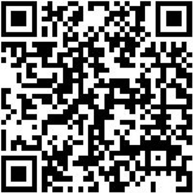 Sicherheitshalbschuh S1P Halbschuh Stretch X S1P Blau 37