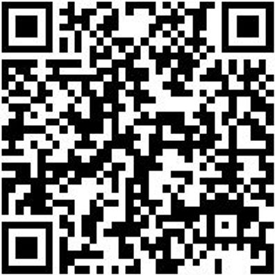 Sicherheitshalbschuh S1P Halbschuh Stretch X S1P Blau 38