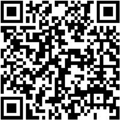 Sicherheitshalbschuh S1P Halbschuh Stretch X S1P Blau 39