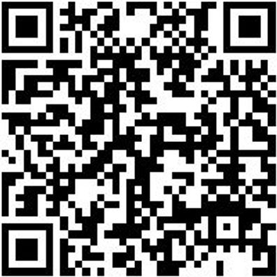 Sicherheitshalbschuh S1P Halbschuh Stretch X S1P Blau 40