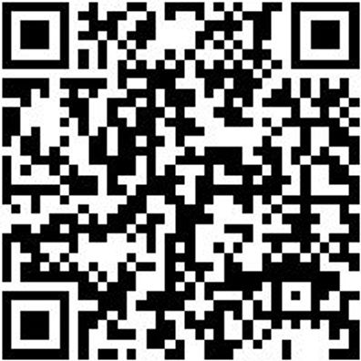 Sicherheitshalbschuh S1P Halbschuh Stretch X S1P Blau 41