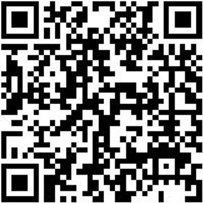 Sicherheitshalbschuh S1P Halbschuh Stretch X S1P Blau 43