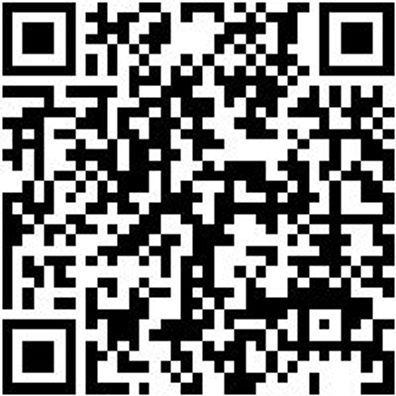 Sicherheitshalbschuh S1P Halbschuh Stretch X S1P Blau 45