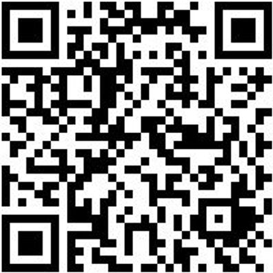 Gummiwischer Guwisch-Met-L450Mm