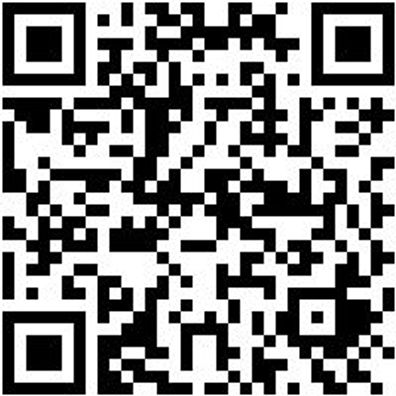 Gummiwischer Guwisch-Met-L600Mm