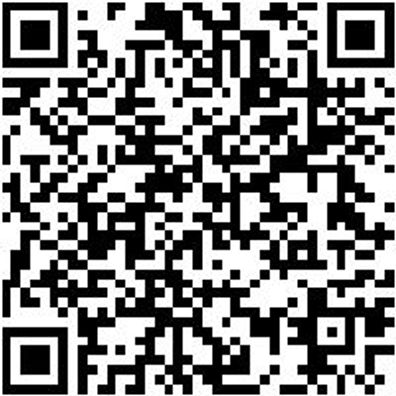 Gummiwischer Washieb-Gruen-500Mm