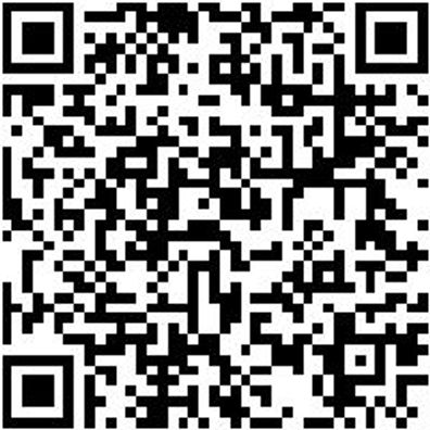 Gummiwischer Washieb-Rot-500Mm