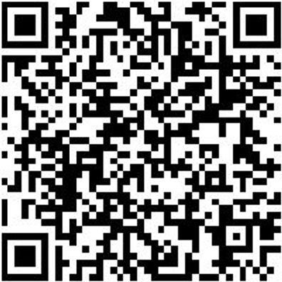 Gummiwischer Washieb-Weiss-500Mm