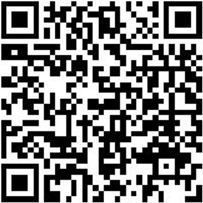 Hammerbohrer Max Bo-Ham-Max-Quadro-S-4Sprl-D12/540/400