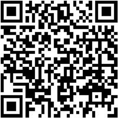 Hammerbohrer Max Bo-Ham-Max-Quadro-S-4Sprl-D14/540/400