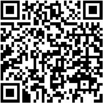 Hammerbohrer Max Bo-Ham-Max-Quadro-S-4Sprl-D16/540/400