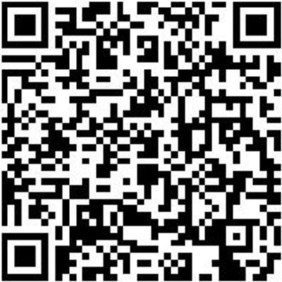 Sicherheitshalbschuh S1P Hs Daily Race S1P Schwarz/Weiss 39