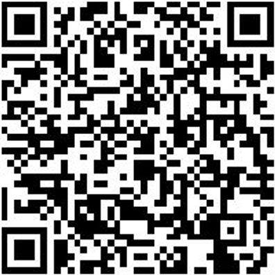 Sicherheitshalbschuh S1P Hs Daily Race S1P Schwarz/Weiss 45