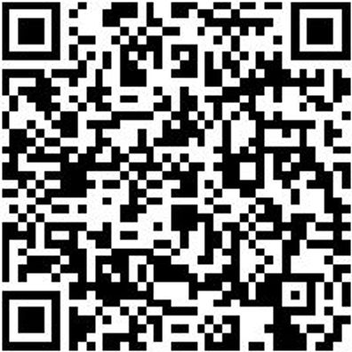 Sicherheitshalbschuh S1P Hs Daily Race S1P Schwarz/Weiss 48