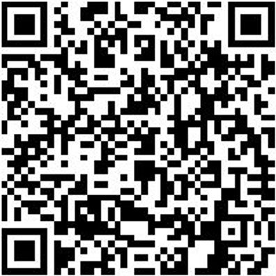 Sicherheitshalbschuh S1P Hs Daily Race S1P Anthrazit/Rot 39