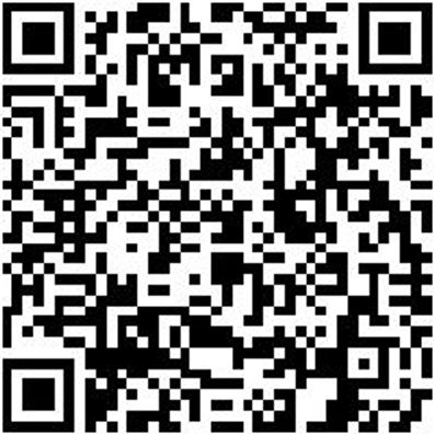 Sicherheitshalbschuh S1P Hs Daily Race S1P Anthrazit/Rot 41