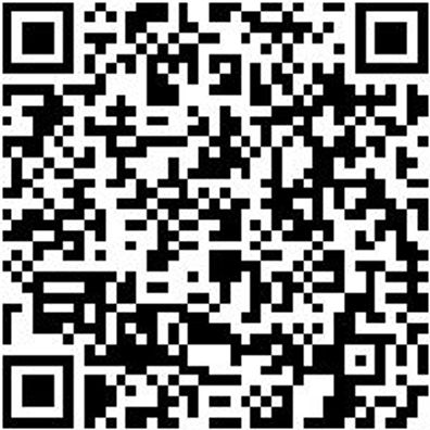 Sicherheitshalbschuh S1P Hs Daily Race S1P Anthrazit/Rot 43