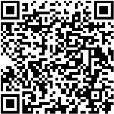 Sicherheitshalbschuh S1P Halbschuh Caracas S1P Esd Schwarz 38