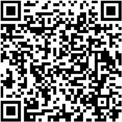 Sicherheitshalbschuh S1P Halbschuh Caracas S1P Esd Schwarz 39