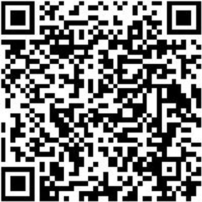 Sicherheitshalbschuh S1P Halbschuh Caracas S1P Esd Schwarz 43