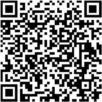 Sicherheitshalbschuh S1P Halbschuh Caracas S1P Esd Schwarz 45