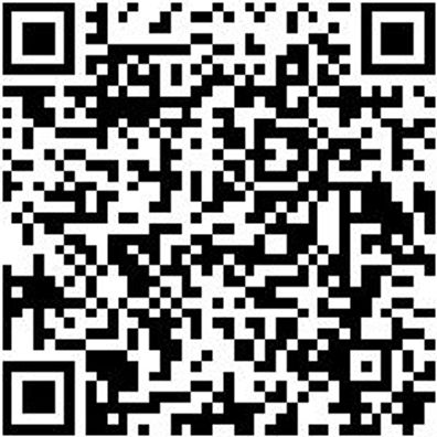 Sicherheitshalbschuh S1P Halbschuh Caracas S1P Esd Schwarz 47