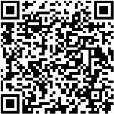 Sicherheitshalbschuh S1P Halbschuh Caracas S1P Esd Schwarz 48