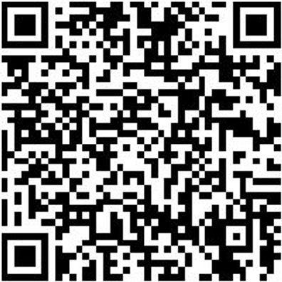 Sicherheitshalbschuh S1P Hs Daily Race Boa S1P Schwarz/Rot 38