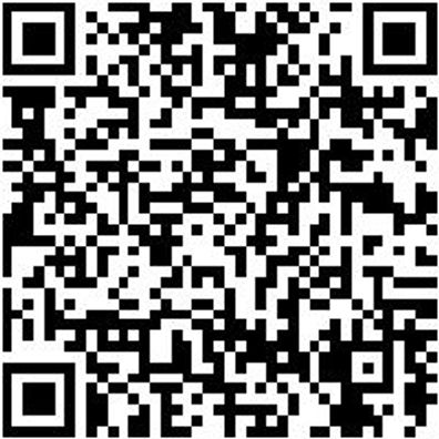 Sicherheitshalbschuh S1P Hs Daily Race Boa S1P Schwarz/Rot 39