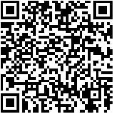 Sicherheitshalbschuh S1P Hs Daily Race Boa S1P Schwarz/Rot 43