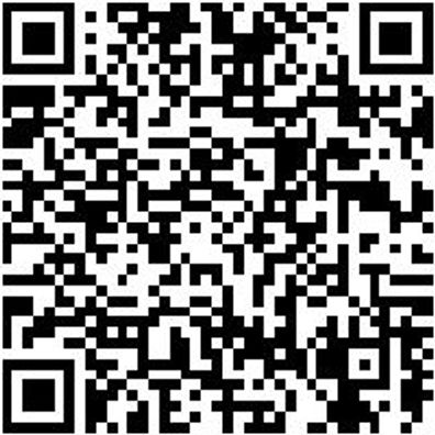 Sicherheitshalbschuh S1P Hs Daily Race Boa S1P Schwarz/Rot 44