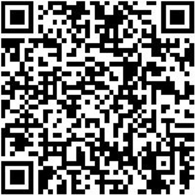 Sicherheitshalbschuh S1P Hs Daily Race Boa S1P Schwarz/Rot 46