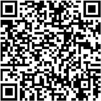 Sicherheitshalbschuh S1P Hs Daily Race Boa S1P Schwarz/Rot 48