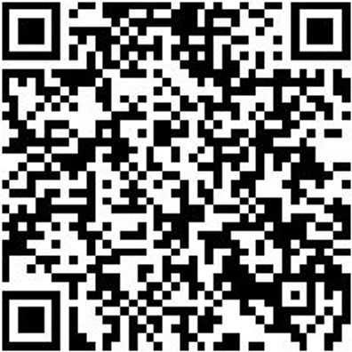 Sicherheitshalbschuh S1Pl Hs Carbon 290 S1Pl Esd Dunkelblau 35