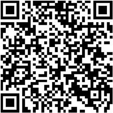 Sicherheitshalbschuh S1Pl Hs Carbon 290 S1Pl Esd Dunkelblau 37